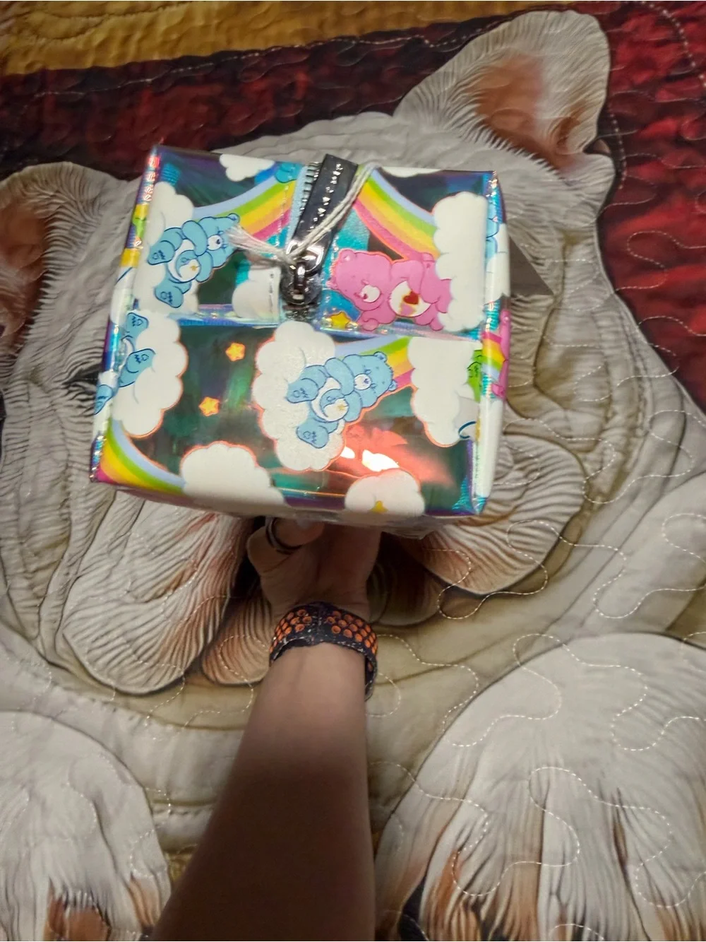 NWT Care Bears x Skinnydip Holographic Rainbow Makeup Bag